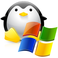 ОС Windows и Linux